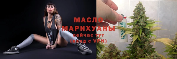 скорость Каменка