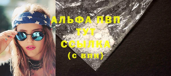 скорость Каменка