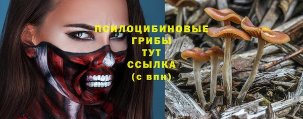 ПСИЛОЦИБИНОВЫЕ ГРИБЫ Каменногорск
