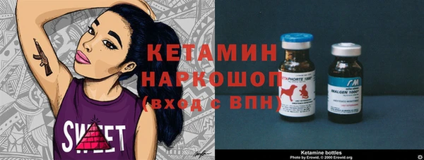 скорость Каменка