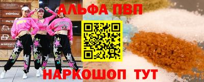 тгк Кингисепп