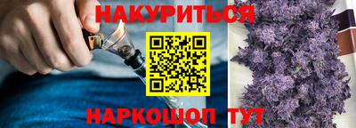 тгк Кингисепп