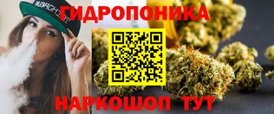 тгк Кингисепп
