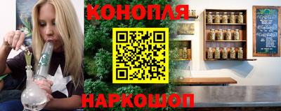 тгк Кингисепп