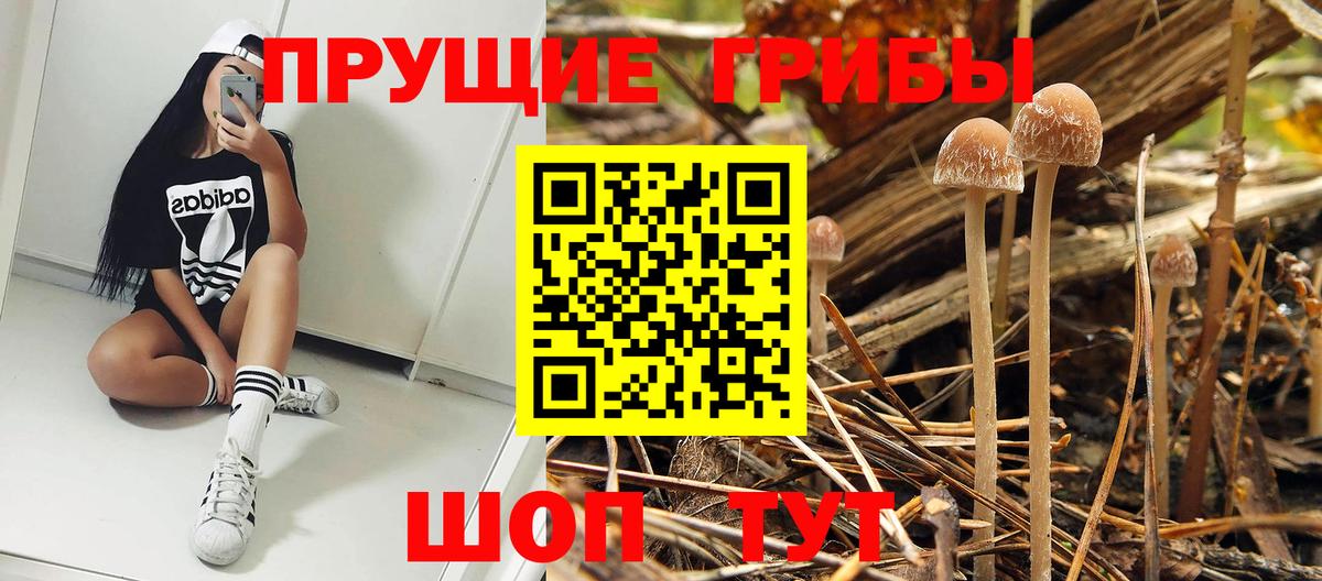Экстази Кудрово