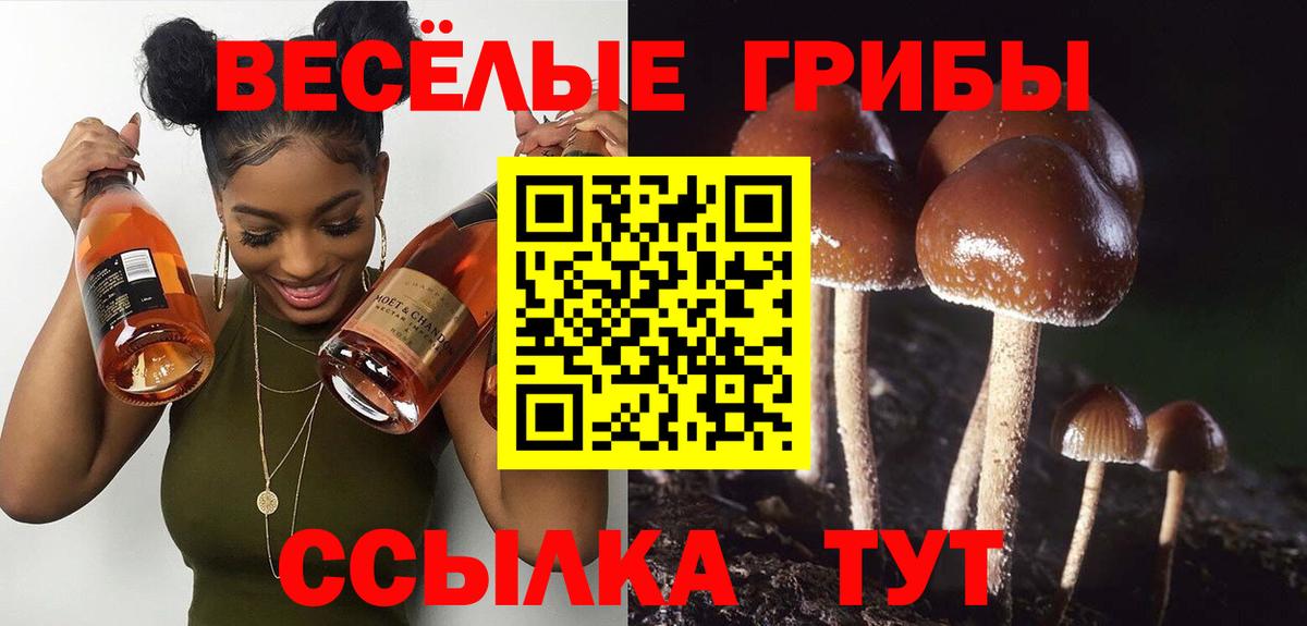 Кудрово  Псилоцибиновые грибы мицелий  Вход с VPN 